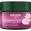 Weleda Cura-del-viso Night-CareRafforza la barriera cutanea, riduce le prime rugheTrattamento notte levigante Rosa selvatica e tè bianco 40 ml (358,75 € / 1 l)