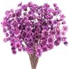 Larber 300 pezzi di fiori secchi brasiliani Iila piccoli fiori stellati secchi mini bouquet di fiori secchi margherite mini camomilla per composizione floreale matrimonio 300 pezzi Star Dried Flower