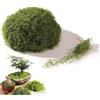 YUNZHISHIYE Muschio Finto Decorativo100G,Decorazione Di Muschio Artificiale,Muschio Artificiale Decorativo Intrecciato,Muschio Finto Per Esterni, Muschio Verde Per Vaso Di Fiori (Verde scuro)