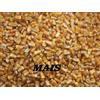 pag Pierucci Agricoltura - Mangimi per Animali da Cortile - NO OGM - Sacco 25kg (Mais Dentone)