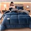 ZTGL Trapunta Invernale Imbottita 2-5kg Piumone Caldo Letto 2 Piazze, Coperta Plaid Sherpa Doppio Strato Morbida Matrimoniale Pile Vellutato MOD,C,180x220cm(3.5kg)