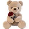 DAWRIS Orsacchiotto tenero e tenero, Morbido orsacchiotto piccolo 25 cm Teddy Bear Peluche Carino Stuffed Animale Tenero Pupazzo Orsetto Vellutato Giocattolo Cuscino Bambola Regalo
