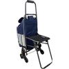 Ferrucci Carrello Spesa 3 ruote per salire Scale, con Sedia Pieghevole, Borsa Removibile, Carrello Portaspesa, 30L, Capacità di Carico 32kg