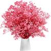 Gipizi Rosa Gypsophila Essiccata, 43cm Naturale Fiori Secchi stabilizzata oltre 3000 Boccioli, Gypsophila Secchi per Matrimonio, Decorazione Della Casa, fai da te e Partito (Rosa)
