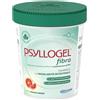 GIULIANI SpA Psyllogel Fibra Integratore Intestinale Gusto Arancia Rossa 170 g