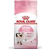 ROYAL CANIN GATTO KITTEN 2 KG