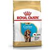ROYAL CANIN CANE COCKER PUPPY 3 KG