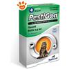 Slais Cat Pestigon per Gatti - Confezione Da 4 Pipette