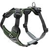 HUNTER pettorina per cani DIVO, Colore: verde/grigio, ergonomico, traspirante e imbottito, regolabile in 5 punti, materiale riflettente 3M™ Scotchlite™, Taglia: XS