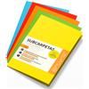 OFITURIA Cartelline Cartoncino A4, Raccoglitori Documenti Carta 180gr, Cartella Portadocumenti per Archiviazione, Confezione da 15 Carpette Portadocumenti Colorate Documenti - Ofituria (Assortito Intenso)