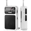 PRUNUS J-555 Radio Portatile Ricaricabile, Mini Radiolina Portatile FM/AM Supporta Batterie Sostituibili (AAA), con Jack/Clip Posteriore, per Camminare, Correre, Pescare (Bianco)