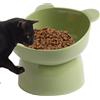 Youding Cibo per gatti rialzato, ciotole per gatti sollevati baffi per il cibo, ergonomico inclinato per gatti rialzati