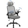 WOLTU Sedia Ufficio Ergonomica con Poggiatesta e Braccioli Regolabili, Supporto Lombare, Poltrona Scrivania Girevole in Rete Traspirante Funzione Dondolo, Grigio
