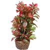 Hobby 51533 Flora Stone 4