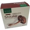 Ligne de plantes shitake bio 15 ampolle da 15 ml - LIGNE DE PLANTES - 947251447