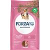 Forza10 Maintenance All Breeds Adult Maiale - 12 Kg - Crocchette Monoproteiche Cane - 1° ORDINE? scegli lo sconto BZR5 / BZR20 + 200 punti fedeltà