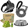 petlux Set Ciotola Cani e Gatti Inox Antiscivolo, Guinzaglio in Nylon Elastico e Riflettente, Pettorina Imbottita antitiro per Cane, Sacchetti Igienici Biodegradabili bisogni Cani con Dispenser (Nero, XL)