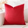 Artscope Federe Cuscini in Velluto Minimalista Copricuscino Colorato per la Decorazione Domestica Soggiorno Camera da Letto Divano 45x45cm, Rosso