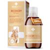 RECOACTIV Recovery Renale per gatti, 1 x 280 ml, mangime completo ad alto potere calorico in caso di compromissione della funzionalità renale e di un maggiore fabbisogno energetico