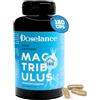 DOSELANCE Maca Peruviana con Tribulus + Taurina + Arginina + Zinco, 180 Capsule per Fornitura 2 Mesi - Energia e Resistenza, Supporto Ormonale e Sistema Immunitario | Nuova Formula Potenziata