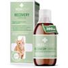 RECOACTIV Recovery Immunitario per gatti, 1 x 280 ml, mangime completo ad alto potere calorico in caso di alimentazione carente e durante la convalescenza per stimolare l'aumento di peso