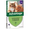 Advantage - Antiparassitario Soluzione Spot On Pipette Gatti e Conigli Confezione 4 Pipette