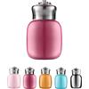 AYES Mini-Thermos in Acciaio Inox, 200 ml, adorabile bottiglia d'acqua, bottiglie d'acqua in acciaio inox con isolamento sottovuoto, a prova di perdite, mantiene caldo e freddo, per casa, all'aperto, in