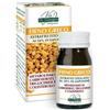 DR.GIORGINI Dr. Giorgini Fieno Greco Estratto Titolato Integratore Benessere Fisico 60 Pastiglie