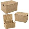 DRW Set di 3 cestini di corda di carta con coperchio naturale, 40 x 30 x 25 + 35 x 35 x 21 + 30 x 20 x 17 cm