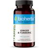 BIOHERBA Zenzero e Curcuma di BIOHERBA - 100 Capsule Potenziamento di Energia e Metabolismo, Supporto al Sistema Immunitario del Corpo