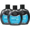 Breeze Squeeze Deodorante Profumato Unisex 48H 100 Ml (3, Breeze Deodorante Uomo Fresh Protection)