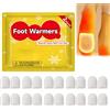 HeatPaxx Scaldapiede - Confezione Risparmio Da 10 Pezzi Per Piedi Freddi