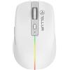 TELLUR Mouse senza Fili con Click Silenzioso, Ricaricabile, Nano Ricevitore USB 2.4 Ghz, Mouse Wireless con Click Silenzioso, 1600DPI, Banda Luminosa RGB, Design Sottile e Leggero da Portare (Bianco)