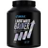 Self Omninutrition Large Mass Gainer 2kg