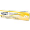 GMM FARMA Recugel Gel Oculare Dexapantenolo Tubetto 10 G