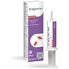 SOLFAC Envu, Solfac Gel Scarafaggi, Insetticida, Pronto all'Uso, con Beccuccio di Precisione, Applicazione nelle Fessure ed Aree Nascoste, 20g