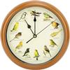 Tnfeeon Orologio da Parete Orologio con Canto degli Uccelli,Originale, con 12 Uccelli Canori Nativi,Tempo di Silenzio Notturno, Registrazioni Naturalistiche Originali, Decorazioni per la