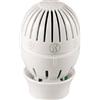 Giacomini R470X001 Clip Clap Thermostat Head by Giacomini