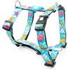 Max & Molly Urban Pets Max & Molly H - Stoviglie blu oceano, S