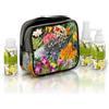 Rudy BERGAMOT Cofanetto Regalo