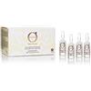 OLIOSETA BAREX | Fiala Ristrutturante Oro di Luce | Fluido Ristrutturante Per Capelli Rovinati | 12 fiale