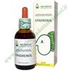 Arcangea EPADRENOL 50 ml