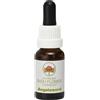 Green Remedies Australian Bush Flower Essences ANGELSWORD 15 ml
