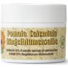 Fornitori diversi POMATA CALENDULA Formulazione Maria Treben 80 ml