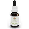 Green Remedies Australian Bush Flower Essences DAGGER HAKEA Gocce 15 ml