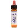 Healing Herbs Flowers Bach Center Healing Herbs: FIORI DI BACH ROCK ROSE (Eliantemo) 10 ml
