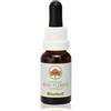 Green Remedies Australian Bush Flower Essences BLUEBELL Gocce 15 ml