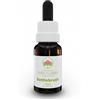 Green Remedies Australian Bush Flower Essences BOTTLEBRUSH Gocce 15 ml