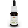 Green Remedies Australian Bush Flower Essences GREY SPIDER FLOWER Gocce 15 ml