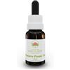 Green Remedies Australian Bush Flower Essences ILLAWARRA FLAME TREE Gocce 15 ml